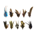 Hat Feathers（Series A）