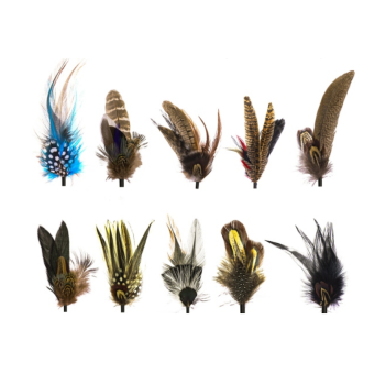 Hat Feathers（Series A）